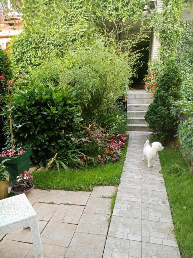 Dusica Apartmani Jagodina Dış mekan fotoğraf