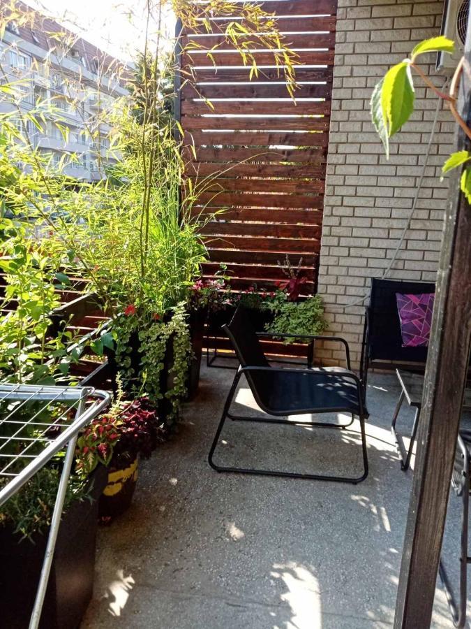 Dusica Apartmani Jagodina Dış mekan fotoğraf
