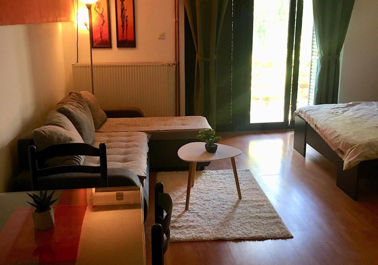 Dusica Apartmani Jagodina Dış mekan fotoğraf